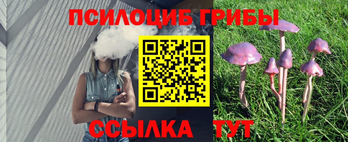 Галлюциногенные грибы Cubensis Омск