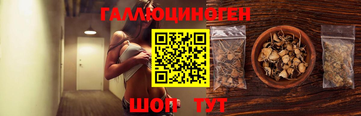 Псилоцибиновые грибы Psilocybine cubensis  где купить наркоту  Омск  Вход с VPN 